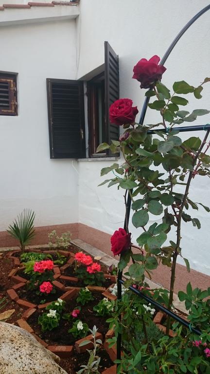 Apartment Devcic Porec