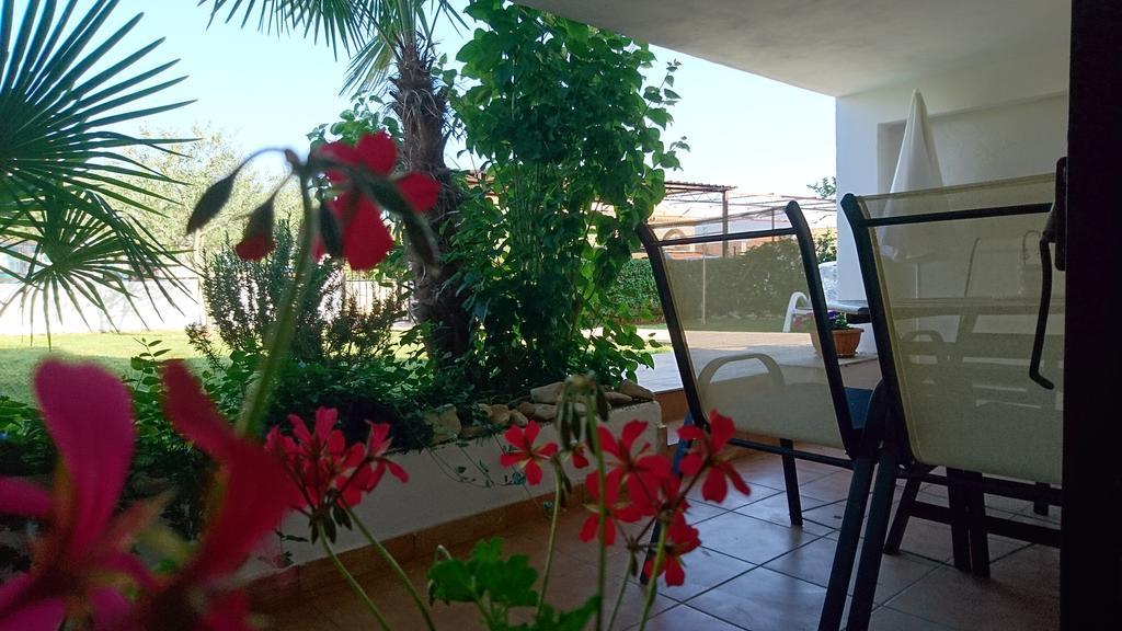 Devcic Apartment Porec